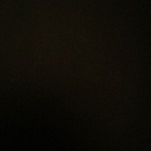 Meet your Posher, Patty